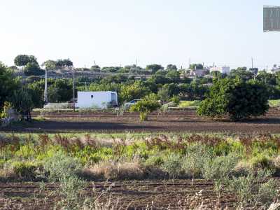 ...imbocchiamo via Bonomo e infine strada rurale del Torrente. Siamo sempre costeggiando il Tiflis, che per� da questo punto in poi diventa basso e soprattutto coltivato in ogni suo punto